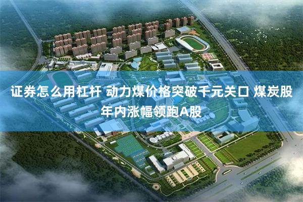 证券怎么用杠杆 动力煤价格突破千元关口 煤炭股年内涨幅领跑A股