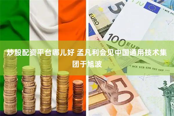 炒股配资平台哪儿好 孟凡利会见中国通用技术集团于旭波